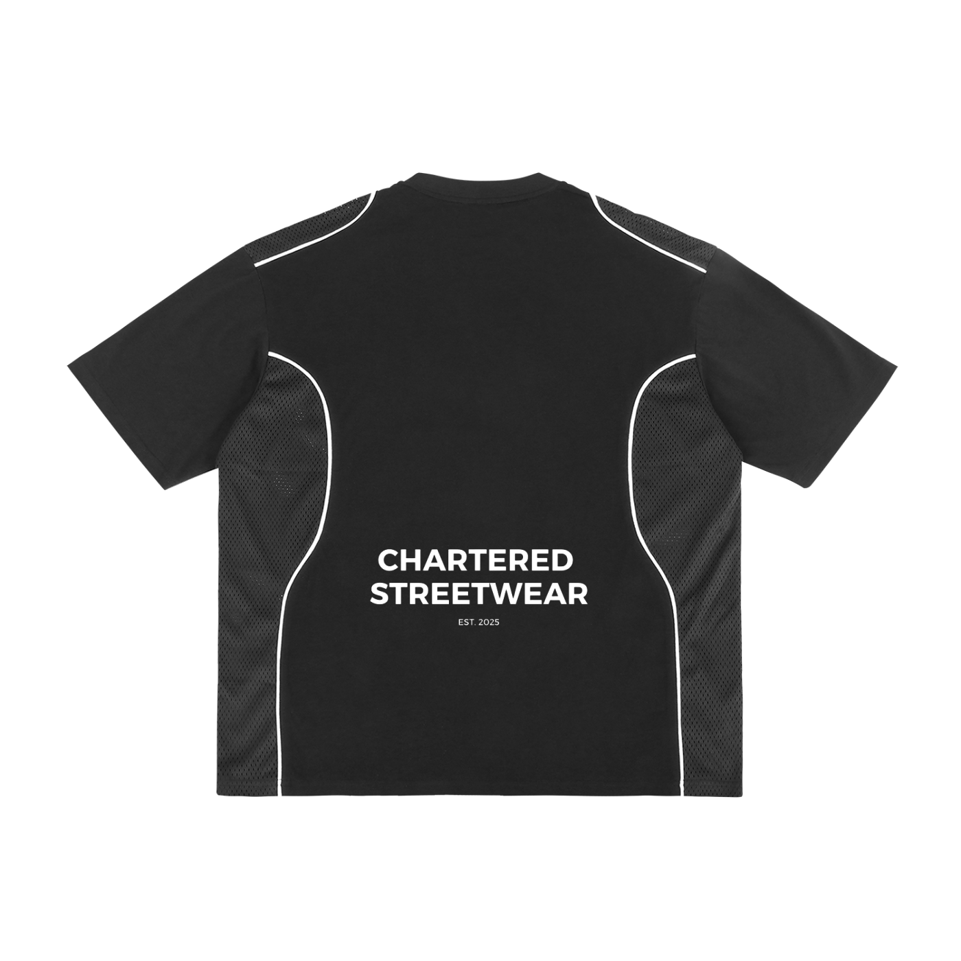 Contrast Piped Panel T-Shirt